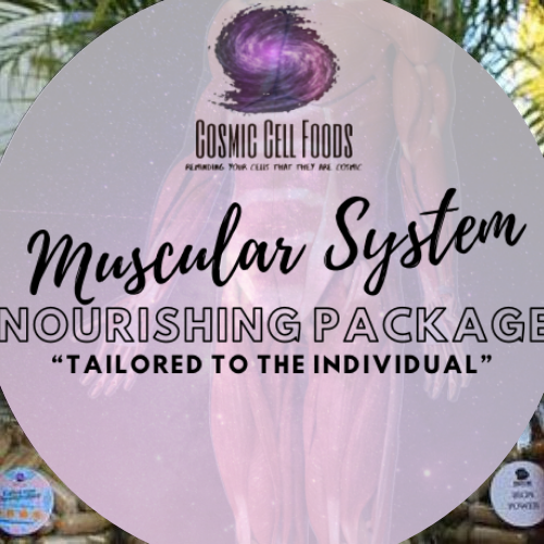 Muscular System Cellular Nourishing Package